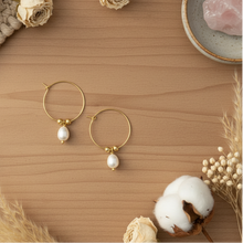 Load image into Gallery viewer, Hoop &amp; Pearl Earring, Gold Plate